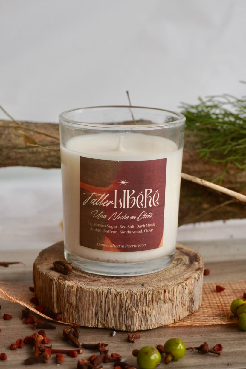 Una Noche en Otoño Soy Wax Fall Candle